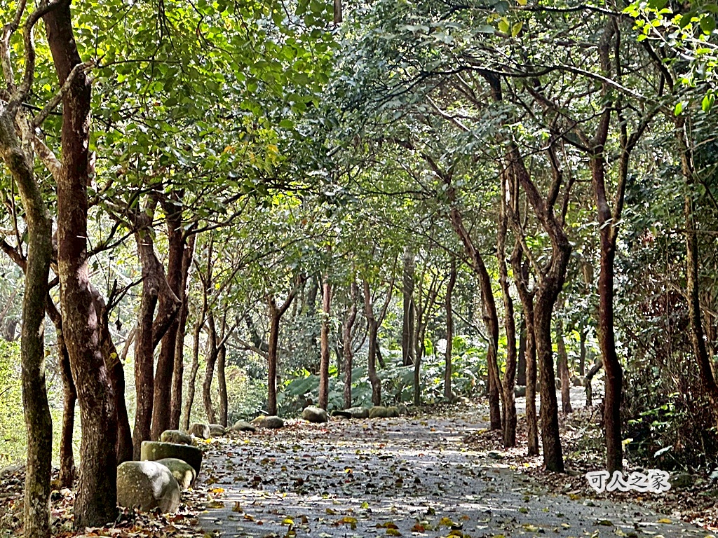 俯瞰景觀。,受天宮,坑內坑步道,彰化一日遊,彰化二水,彰化賞花,百年古道,親子步道,豐柏廣場,黃花風鈴木 俯瞰景觀。,受天宮,坑內坑步道,彰化一日遊,彰化二水,彰化賞花,百年古道,親子步道,豐柏廣場,黃花風鈴木