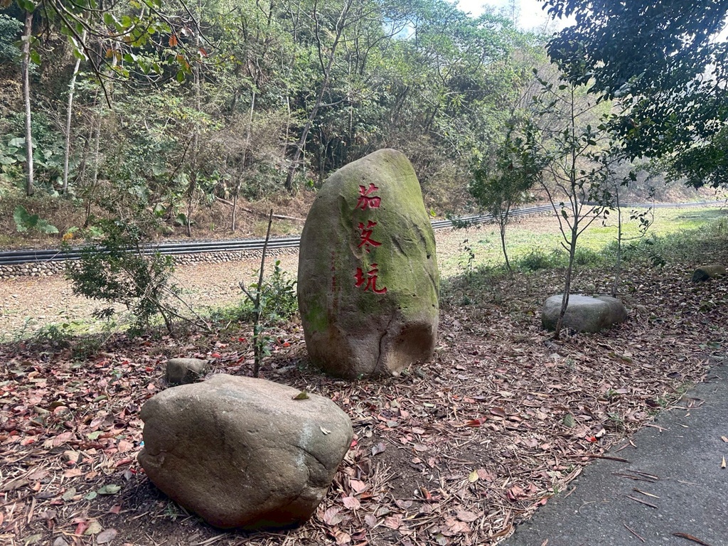俯瞰景觀。,受天宮,坑內坑步道,彰化一日遊,彰化二水,彰化賞花,百年古道,親子步道,豐柏廣場,黃花風鈴木