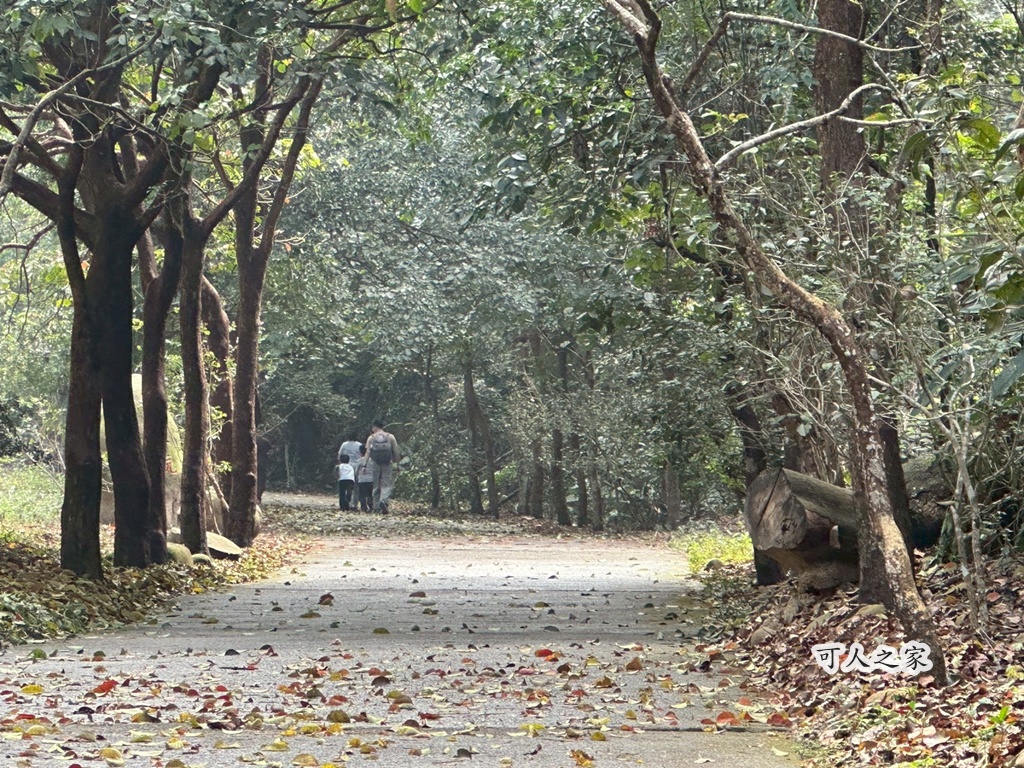 網站近期文章：彰化【坑內坑步道】1.9K百年古道直達受天宮！賞花、登高、逛老街，這CP值很可以！