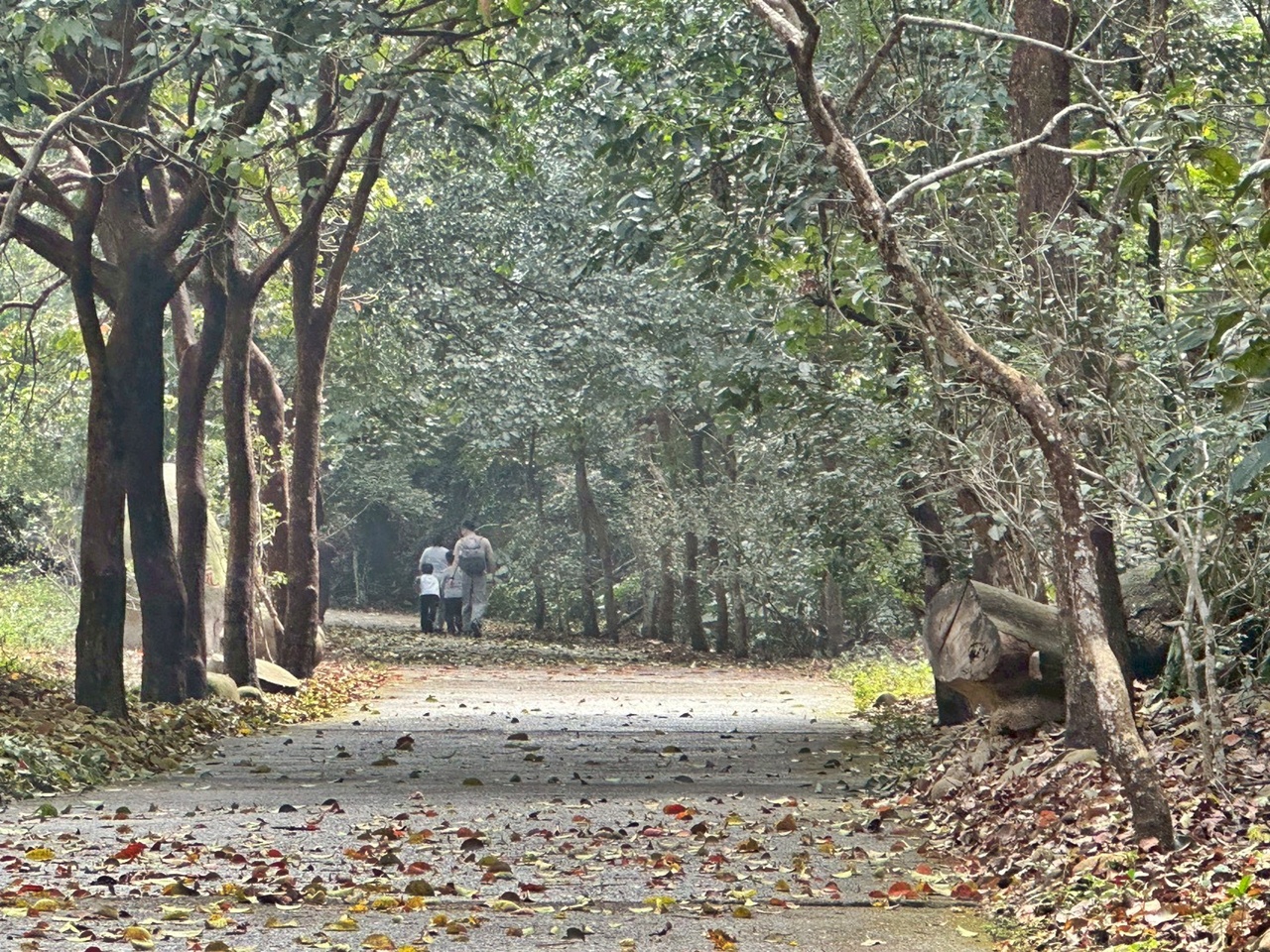 俯瞰景觀。,受天宮,坑內坑步道,彰化一日遊,彰化二水,彰化賞花,百年古道,親子步道,豐柏廣場,黃花風鈴木 俯瞰景觀。,受天宮,坑內坑步道,彰化一日遊,彰化二水,彰化賞花,百年古道,親子步道,豐柏廣場,黃花風鈴木