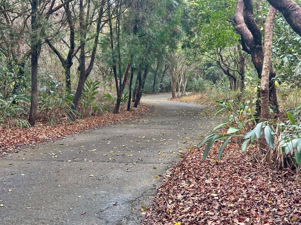 俯瞰景觀。,受天宮,坑內坑步道,彰化一日遊,彰化二水,彰化賞花,百年古道,親子步道,豐柏廣場,黃花風鈴木 俯瞰景觀。,受天宮,坑內坑步道,彰化一日遊,彰化二水,彰化賞花,百年古道,親子步道,豐柏廣場,黃花風鈴木