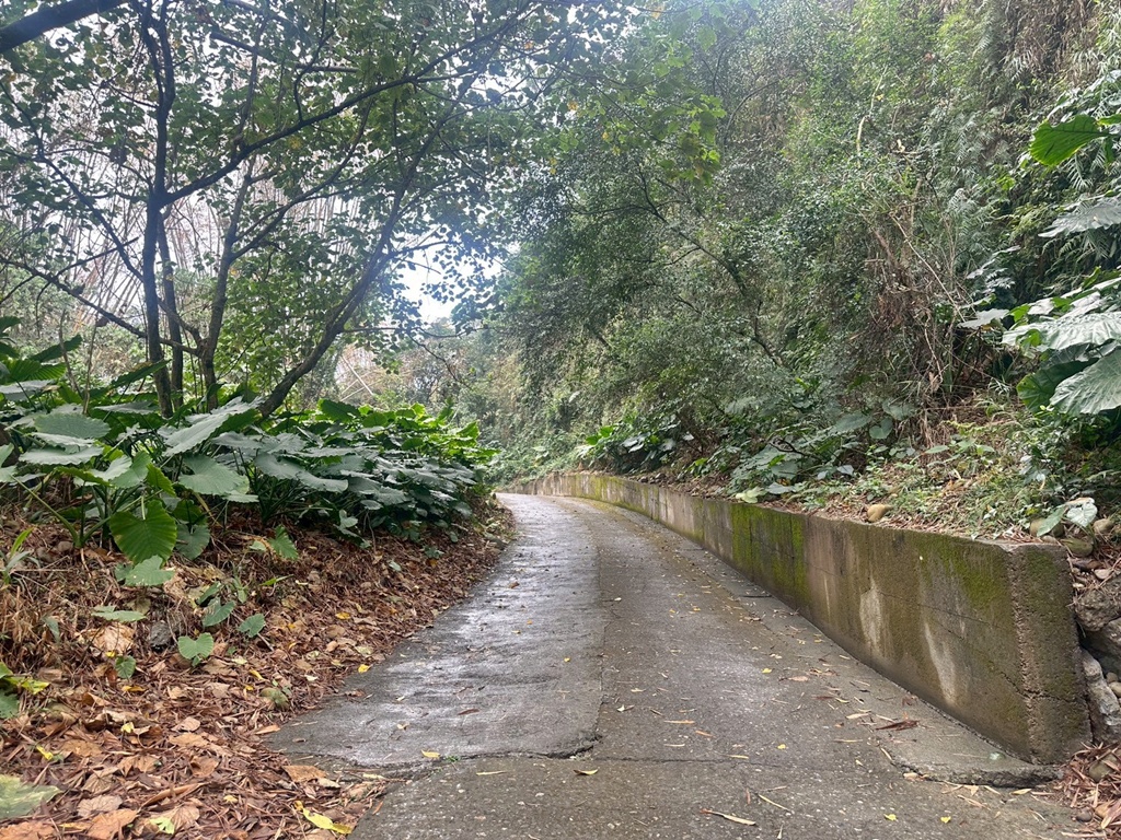 俯瞰景觀。,受天宮,坑內坑步道,彰化一日遊,彰化二水,彰化賞花,百年古道,親子步道,豐柏廣場,黃花風鈴木