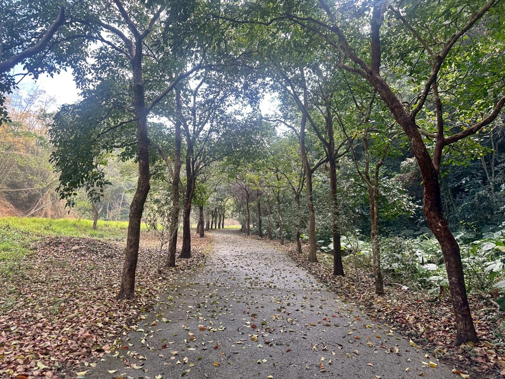 俯瞰景觀。,受天宮,坑內坑步道,彰化一日遊,彰化二水,彰化賞花,百年古道,親子步道,豐柏廣場,黃花風鈴木 俯瞰景觀。,受天宮,坑內坑步道,彰化一日遊,彰化二水,彰化賞花,百年古道,親子步道,豐柏廣場,黃花風鈴木