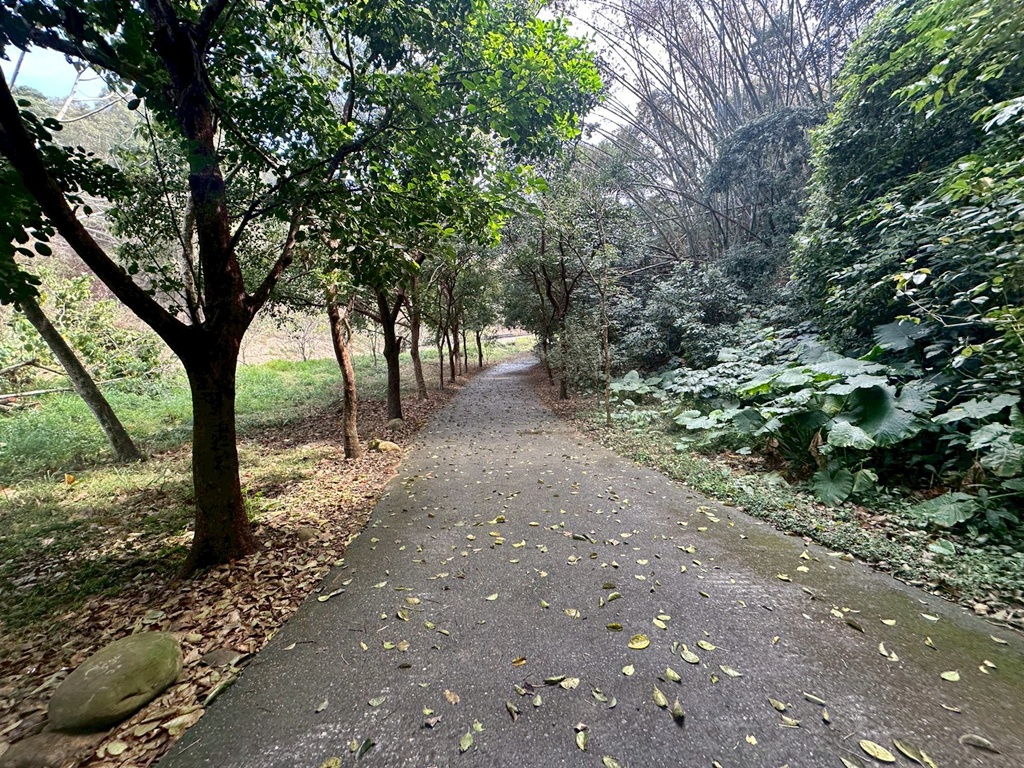 俯瞰景觀。,受天宮,坑內坑步道,彰化一日遊,彰化二水,彰化賞花,百年古道,親子步道,豐柏廣場,黃花風鈴木 俯瞰景觀。,受天宮,坑內坑步道,彰化一日遊,彰化二水,彰化賞花,百年古道,親子步道,豐柏廣場,黃花風鈴木