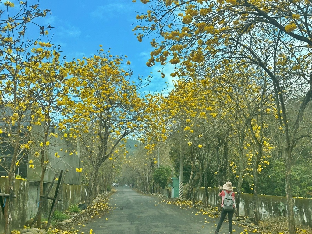 俯瞰景觀。,受天宮,坑內坑步道,彰化一日遊,彰化二水,彰化賞花,百年古道,親子步道,豐柏廣場,黃花風鈴木 俯瞰景觀。,受天宮,坑內坑步道,彰化一日遊,彰化二水,彰化賞花,百年古道,親子步道,豐柏廣場,黃花風鈴木