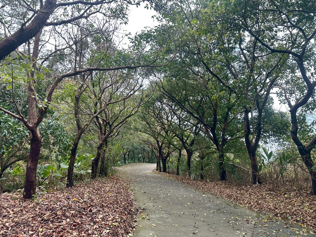 俯瞰景觀。,受天宮,坑內坑步道,彰化一日遊,彰化二水,彰化賞花,百年古道,親子步道,豐柏廣場,黃花風鈴木 俯瞰景觀。,受天宮,坑內坑步道,彰化一日遊,彰化二水,彰化賞花,百年古道,親子步道,豐柏廣場,黃花風鈴木