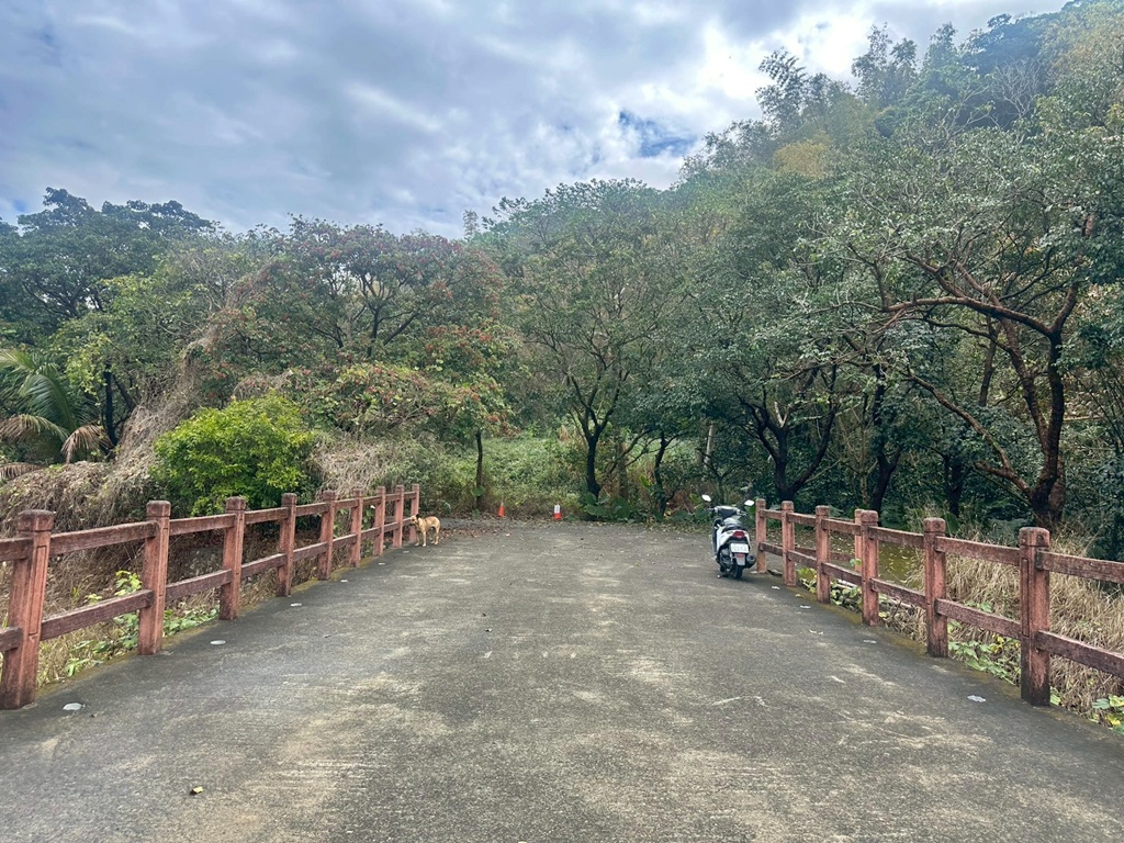 俯瞰景觀。,受天宮,坑內坑步道,彰化一日遊,彰化二水,彰化賞花,百年古道,親子步道,豐柏廣場,黃花風鈴木 俯瞰景觀。,受天宮,坑內坑步道,彰化一日遊,彰化二水,彰化賞花,百年古道,親子步道,豐柏廣場,黃花風鈴木