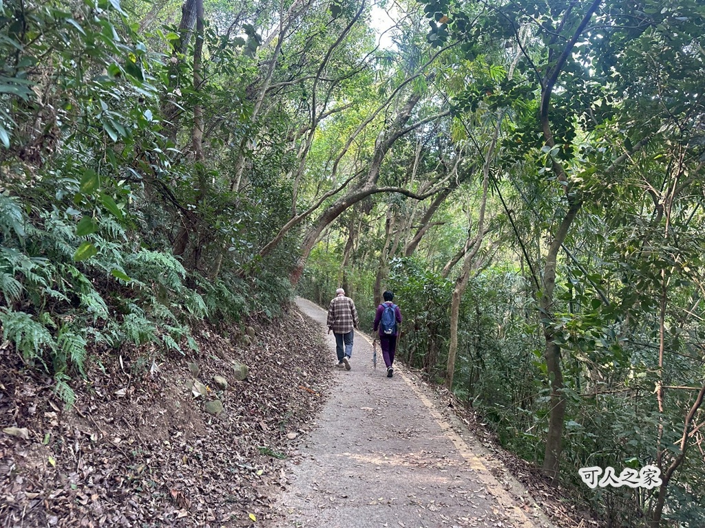 彰化田中,水鹿,猴子,田中森林公園,登山步道,芬多精,親子健行,週末去哪