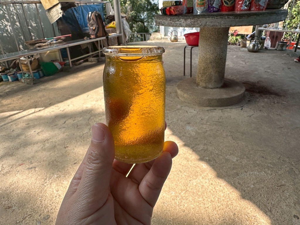 彰化田中,水鹿,猴子,田中森林公園,登山步道,芬多精,親子健行,週末去哪