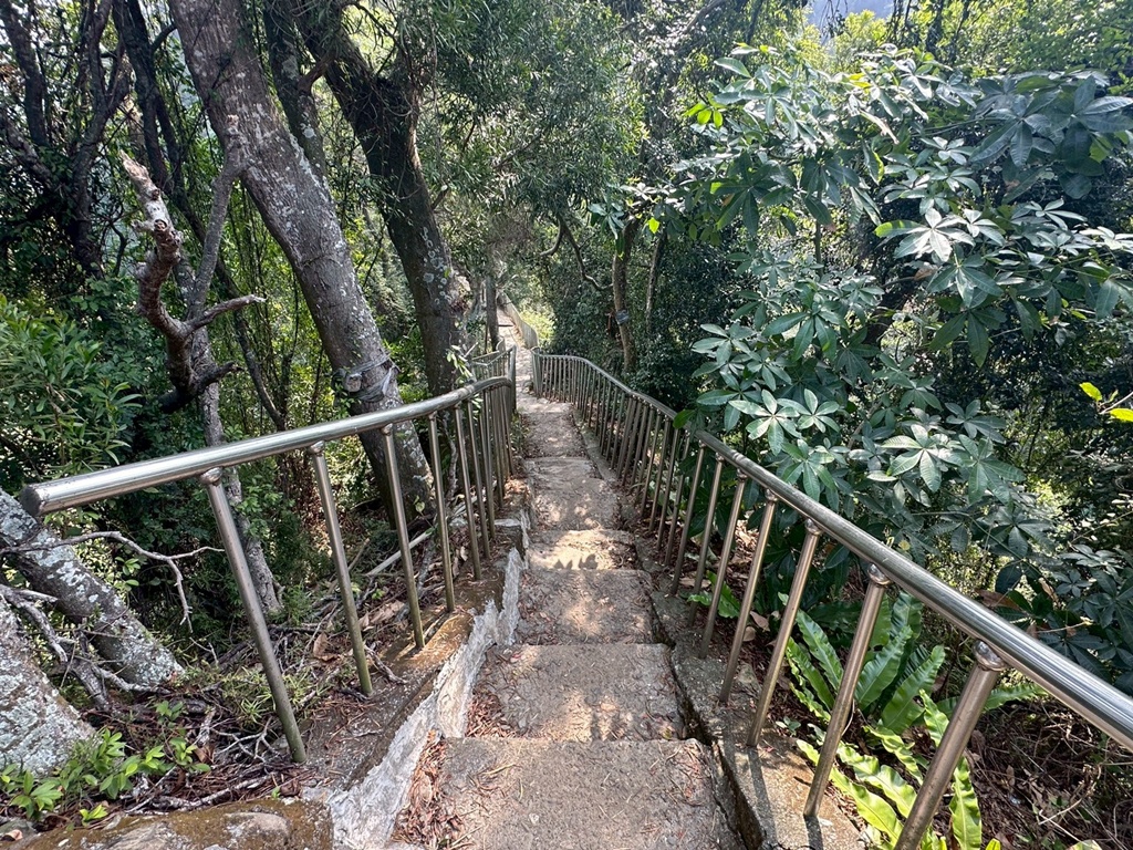 彰化田中,水鹿,猴子,田中森林公園,登山步道,芬多精,親子健行,週末去哪