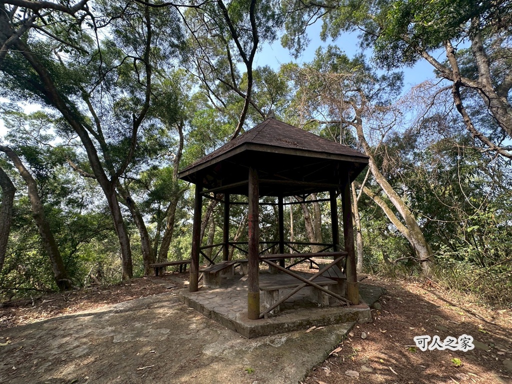 彰化田中,水鹿,猴子,田中森林公園,登山步道,芬多精,親子健行,週末去哪