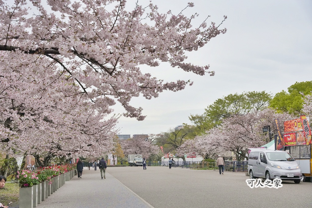 2026日本櫻花季,九州櫻花2026,九州賞櫻,夜櫻,大濠公園櫻花,小倉城櫻花,日本春季旅遊,日本自由行,日本賞櫻攻略,櫻花拍照景點,櫻花祭美食,櫻花花況,櫻花野餐,櫻花預測,福岡城櫻花,福岡城跡,福岡塔櫻花,福岡旅遊,福岡櫻花,舞鶴公園交通,舞鶴公園櫻花,舞鶴公園滿開,追櫻行程 2026日本櫻花季,九州櫻花2026,九州賞櫻,夜櫻,大濠公園櫻花,小倉城櫻花,日本春季旅遊,日本自由行,日本賞櫻攻略,櫻花拍照景點,櫻花祭美食,櫻花花況,櫻花野餐,櫻花預測,福岡城櫻花,福岡城跡,福岡塔櫻花,福岡旅遊,福岡櫻花,舞鶴公園交通,舞鶴公園櫻花,舞鶴公園滿開,追櫻行程