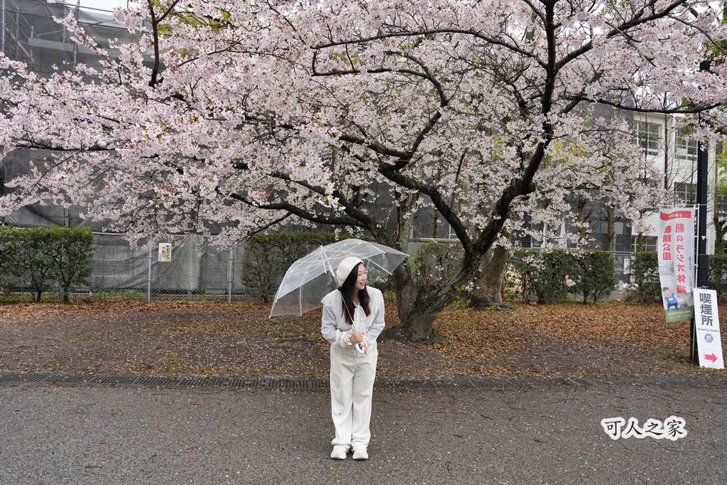 2026日本櫻花季,九州櫻花2026,九州賞櫻,夜櫻,大濠公園櫻花,小倉城櫻花,日本春季旅遊,日本自由行,日本賞櫻攻略,櫻花拍照景點,櫻花祭美食,櫻花花況,櫻花野餐,櫻花預測,福岡城櫻花,福岡城跡,福岡塔櫻花,福岡旅遊,福岡櫻花,舞鶴公園交通,舞鶴公園櫻花,舞鶴公園滿開,追櫻行程