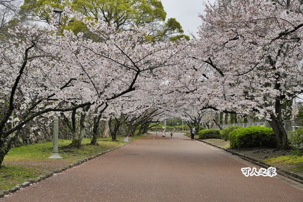 2026日本櫻花季,九州櫻花2026,九州賞櫻,夜櫻,大濠公園櫻花,小倉城櫻花,日本春季旅遊,日本自由行,日本賞櫻攻略,櫻花拍照景點,櫻花祭美食,櫻花花況,櫻花野餐,櫻花預測,福岡城櫻花,福岡城跡,福岡塔櫻花,福岡旅遊,福岡櫻花,舞鶴公園交通,舞鶴公園櫻花,舞鶴公園滿開,追櫻行程