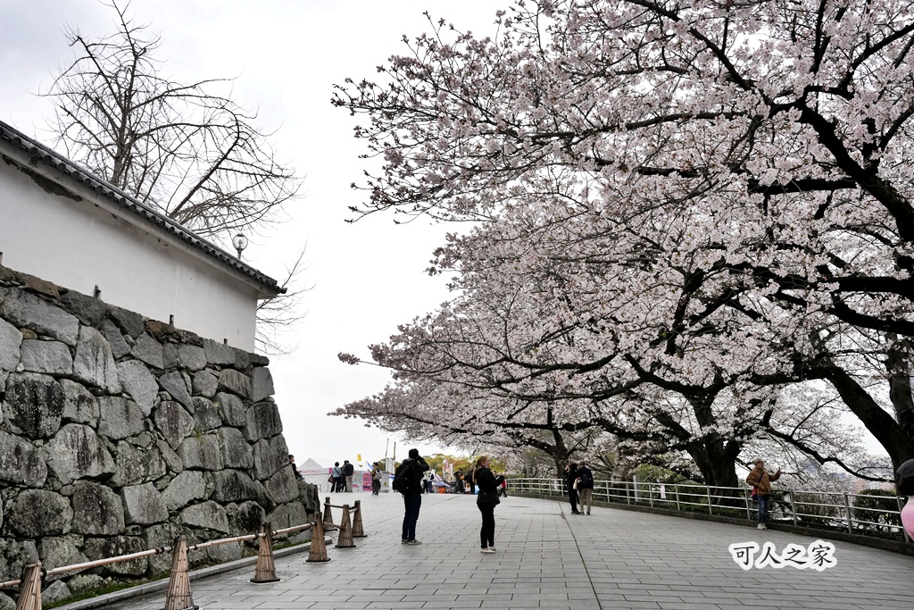 2026日本櫻花季,九州櫻花2026,九州賞櫻,夜櫻,大濠公園櫻花,小倉城櫻花,日本春季旅遊,日本自由行,日本賞櫻攻略,櫻花拍照景點,櫻花祭美食,櫻花花況,櫻花野餐,櫻花預測,福岡城櫻花,福岡城跡,福岡塔櫻花,福岡旅遊,福岡櫻花,舞鶴公園交通,舞鶴公園櫻花,舞鶴公園滿開,追櫻行程 2026日本櫻花季,九州櫻花2026,九州賞櫻,夜櫻,大濠公園櫻花,小倉城櫻花,日本春季旅遊,日本自由行,日本賞櫻攻略,櫻花拍照景點,櫻花祭美食,櫻花花況,櫻花野餐,櫻花預測,福岡城櫻花,福岡城跡,福岡塔櫻花,福岡旅遊,福岡櫻花,舞鶴公園交通,舞鶴公園櫻花,舞鶴公園滿開,追櫻行程