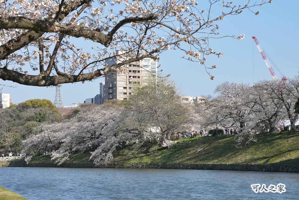 2026日本櫻花季,九州櫻花2026,九州賞櫻,夜櫻,大濠公園櫻花,小倉城櫻花,日本春季旅遊,日本自由行,日本賞櫻攻略,櫻花拍照景點,櫻花祭美食,櫻花花況,櫻花野餐,櫻花預測,福岡城櫻花,福岡城跡,福岡塔櫻花,福岡旅遊,福岡櫻花,舞鶴公園交通,舞鶴公園櫻花,舞鶴公園滿開,追櫻行程 2026日本櫻花季,九州櫻花2026,九州賞櫻,夜櫻,大濠公園櫻花,小倉城櫻花,日本春季旅遊,日本自由行,日本賞櫻攻略,櫻花拍照景點,櫻花祭美食,櫻花花況,櫻花野餐,櫻花預測,福岡城櫻花,福岡城跡,福岡塔櫻花,福岡旅遊,福岡櫻花,舞鶴公園交通,舞鶴公園櫻花,舞鶴公園滿開,追櫻行程