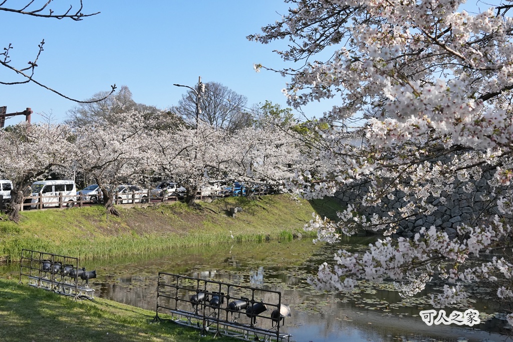 2026日本櫻花季,九州櫻花2026,九州賞櫻,夜櫻,大濠公園櫻花,小倉城櫻花,日本春季旅遊,日本自由行,日本賞櫻攻略,櫻花拍照景點,櫻花祭美食,櫻花花況,櫻花野餐,櫻花預測,福岡城櫻花,福岡城跡,福岡塔櫻花,福岡旅遊,福岡櫻花,舞鶴公園交通,舞鶴公園櫻花,舞鶴公園滿開,追櫻行程 2026日本櫻花季,九州櫻花2026,九州賞櫻,夜櫻,大濠公園櫻花,小倉城櫻花,日本春季旅遊,日本自由行,日本賞櫻攻略,櫻花拍照景點,櫻花祭美食,櫻花花況,櫻花野餐,櫻花預測,福岡城櫻花,福岡城跡,福岡塔櫻花,福岡旅遊,福岡櫻花,舞鶴公園交通,舞鶴公園櫻花,舞鶴公園滿開,追櫻行程
