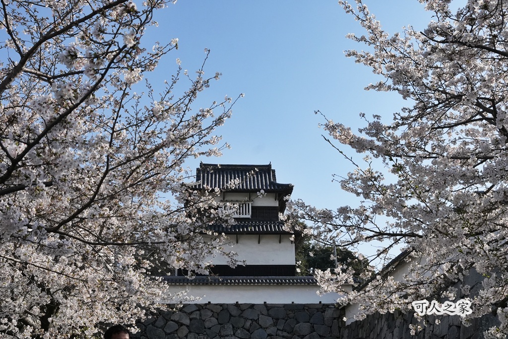 2026日本櫻花季,九州櫻花2026,九州賞櫻,夜櫻,大濠公園櫻花,小倉城櫻花,日本春季旅遊,日本自由行,日本賞櫻攻略,櫻花拍照景點,櫻花祭美食,櫻花花況,櫻花野餐,櫻花預測,福岡城櫻花,福岡城跡,福岡塔櫻花,福岡旅遊,福岡櫻花,舞鶴公園交通,舞鶴公園櫻花,舞鶴公園滿開,追櫻行程