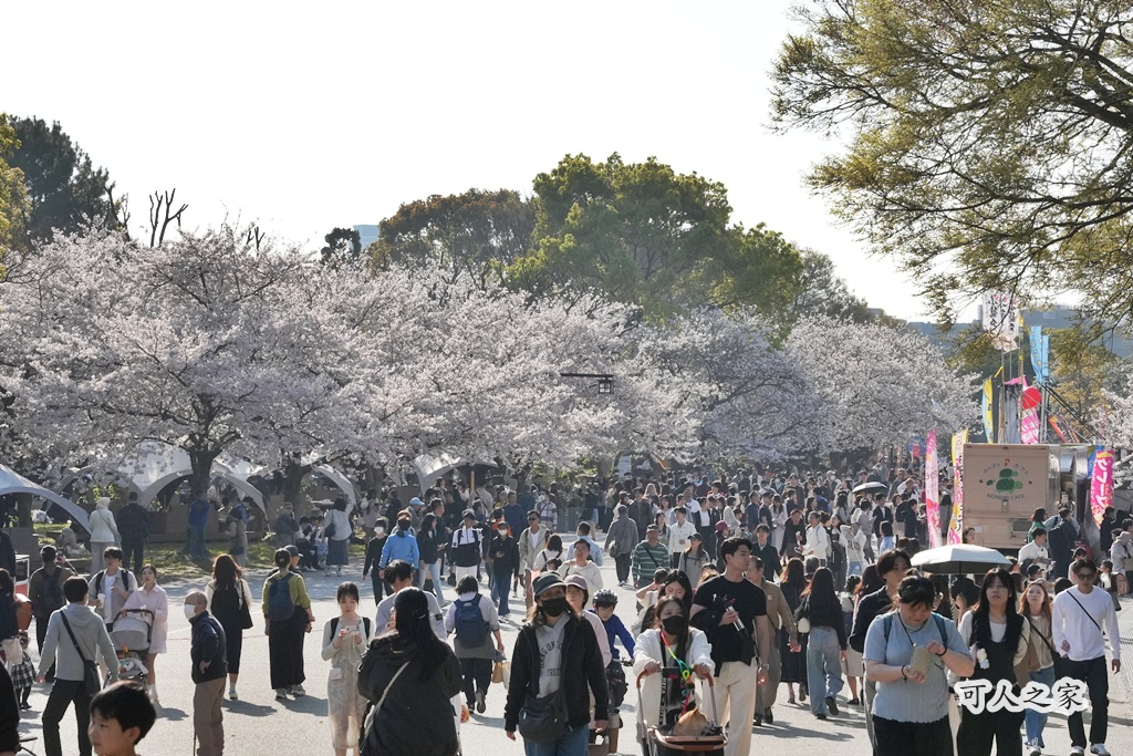 2026日本櫻花季,九州櫻花2026,九州賞櫻,夜櫻,大濠公園櫻花,小倉城櫻花,日本春季旅遊,日本自由行,日本賞櫻攻略,櫻花拍照景點,櫻花祭美食,櫻花花況,櫻花野餐,櫻花預測,福岡城櫻花,福岡城跡,福岡塔櫻花,福岡旅遊,福岡櫻花,舞鶴公園交通,舞鶴公園櫻花,舞鶴公園滿開,追櫻行程 2026日本櫻花季,九州櫻花2026,九州賞櫻,夜櫻,大濠公園櫻花,小倉城櫻花,日本春季旅遊,日本自由行,日本賞櫻攻略,櫻花拍照景點,櫻花祭美食,櫻花花況,櫻花野餐,櫻花預測,福岡城櫻花,福岡城跡,福岡塔櫻花,福岡旅遊,福岡櫻花,舞鶴公園交通,舞鶴公園櫻花,舞鶴公園滿開,追櫻行程