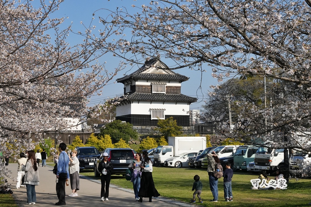 2026日本櫻花季,九州櫻花2026,九州賞櫻,夜櫻,大濠公園櫻花,小倉城櫻花,日本春季旅遊,日本自由行,日本賞櫻攻略,櫻花拍照景點,櫻花祭美食,櫻花花況,櫻花野餐,櫻花預測,福岡城櫻花,福岡城跡,福岡塔櫻花,福岡旅遊,福岡櫻花,舞鶴公園交通,舞鶴公園櫻花,舞鶴公園滿開,追櫻行程
