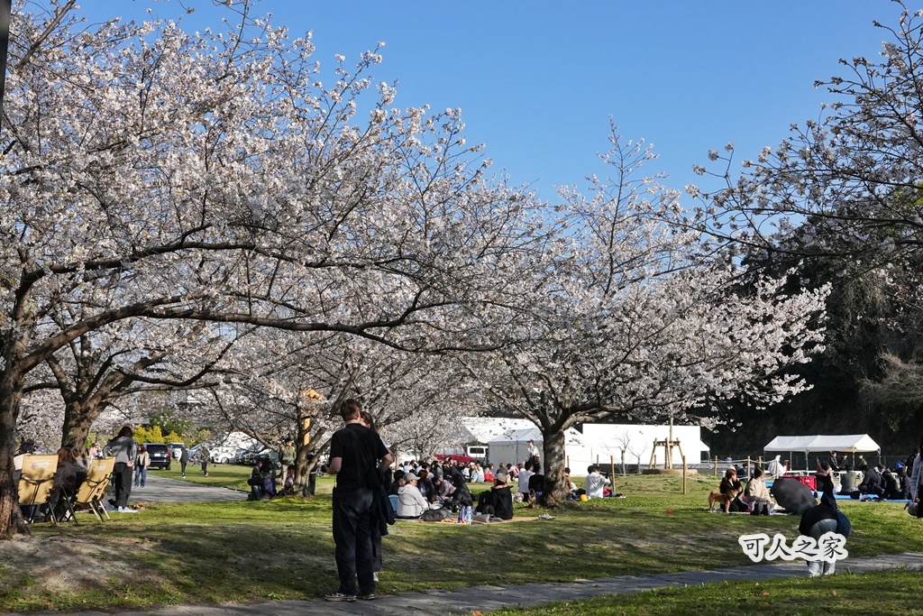 2026日本櫻花季,九州櫻花2026,九州賞櫻,夜櫻,大濠公園櫻花,小倉城櫻花,日本春季旅遊,日本自由行,日本賞櫻攻略,櫻花拍照景點,櫻花祭美食,櫻花花況,櫻花野餐,櫻花預測,福岡城櫻花,福岡城跡,福岡塔櫻花,福岡旅遊,福岡櫻花,舞鶴公園交通,舞鶴公園櫻花,舞鶴公園滿開,追櫻行程
