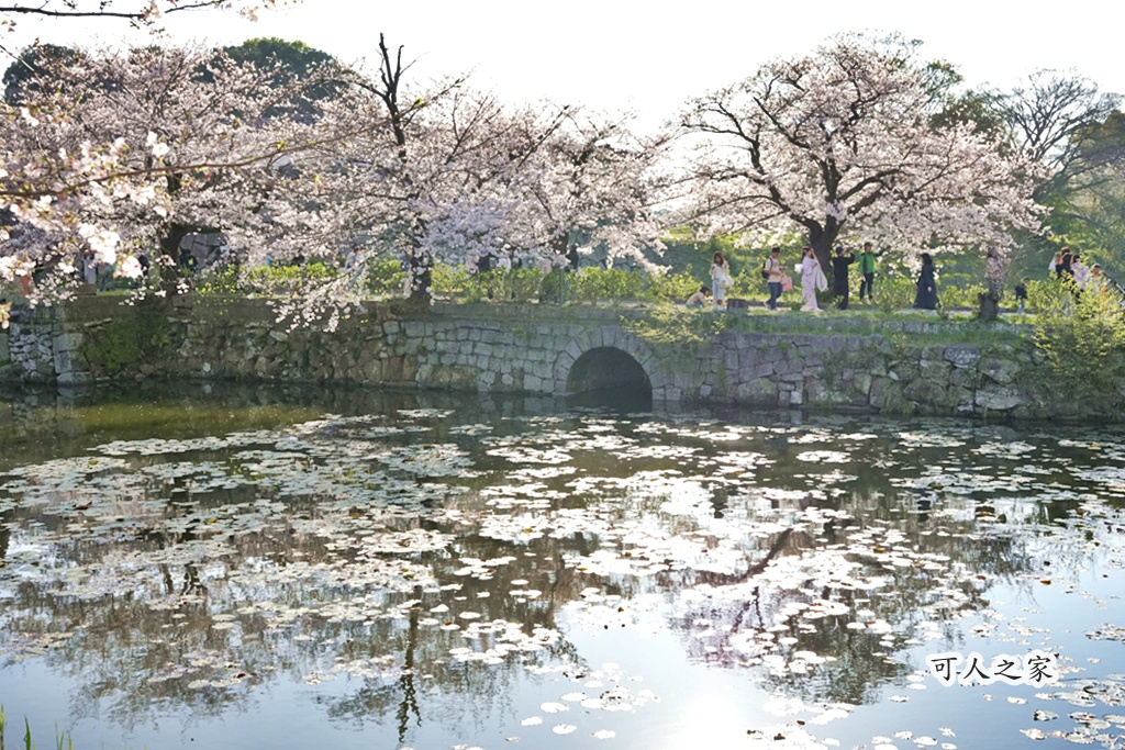 2026日本櫻花季,九州櫻花2026,九州賞櫻,夜櫻,大濠公園櫻花,小倉城櫻花,日本春季旅遊,日本自由行,日本賞櫻攻略,櫻花拍照景點,櫻花祭美食,櫻花花況,櫻花野餐,櫻花預測,福岡城櫻花,福岡城跡,福岡塔櫻花,福岡旅遊,福岡櫻花,舞鶴公園交通,舞鶴公園櫻花,舞鶴公園滿開,追櫻行程 2026日本櫻花季,九州櫻花2026,九州賞櫻,夜櫻,大濠公園櫻花,小倉城櫻花,日本春季旅遊,日本自由行,日本賞櫻攻略,櫻花拍照景點,櫻花祭美食,櫻花花況,櫻花野餐,櫻花預測,福岡城櫻花,福岡城跡,福岡塔櫻花,福岡旅遊,福岡櫻花,舞鶴公園交通,舞鶴公園櫻花,舞鶴公園滿開,追櫻行程