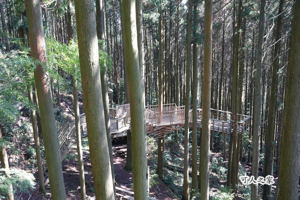「KLOOK一日遊」,「森のカフェ 緑の詩」,「森林平台」,「森林芬多精」,「白糸之森菓子屋咖啡館」,「祕境」,「福岡糸島」