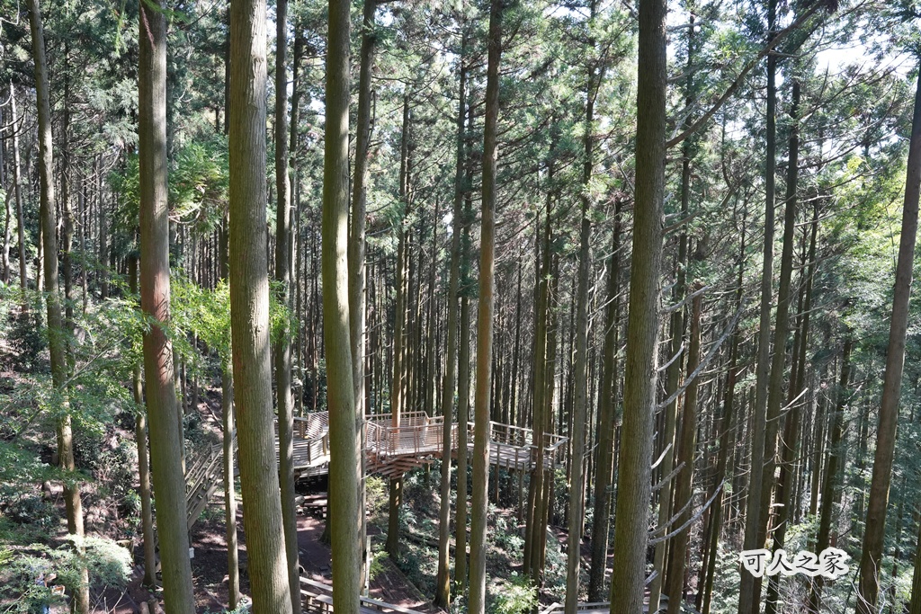 「KLOOK一日遊」,「森のカフェ 緑の詩」,「森林平台」,「森林芬多精」,「白糸之森菓子屋咖啡館」,「祕境」,「福岡糸島」 「KLOOK一日遊」,「森のカフェ 緑の詩」,「森林平台」,「森林芬多精」,「白糸之森菓子屋咖啡館」,「祕境」,「福岡糸島」
