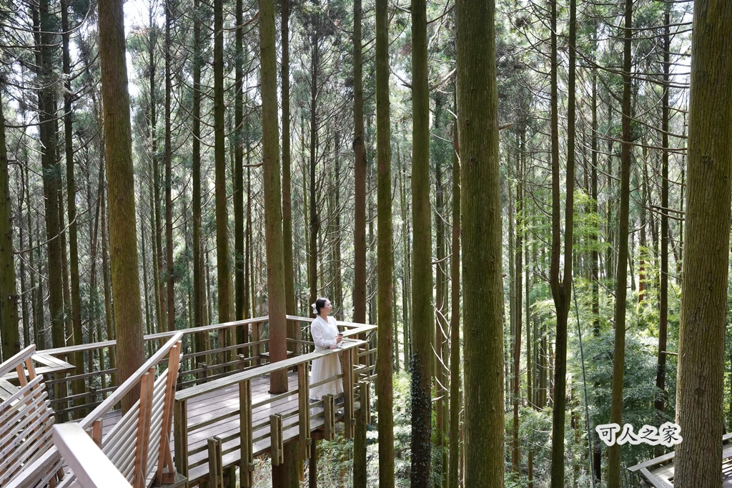 「KLOOK一日遊」,「森のカフェ 緑の詩」,「森林平台」,「森林芬多精」,「白糸之森菓子屋咖啡館」,「祕境」,「福岡糸島」 「KLOOK一日遊」,「森のカフェ 緑の詩」,「森林平台」,「森林芬多精」,「白糸之森菓子屋咖啡館」,「祕境」,「福岡糸島」