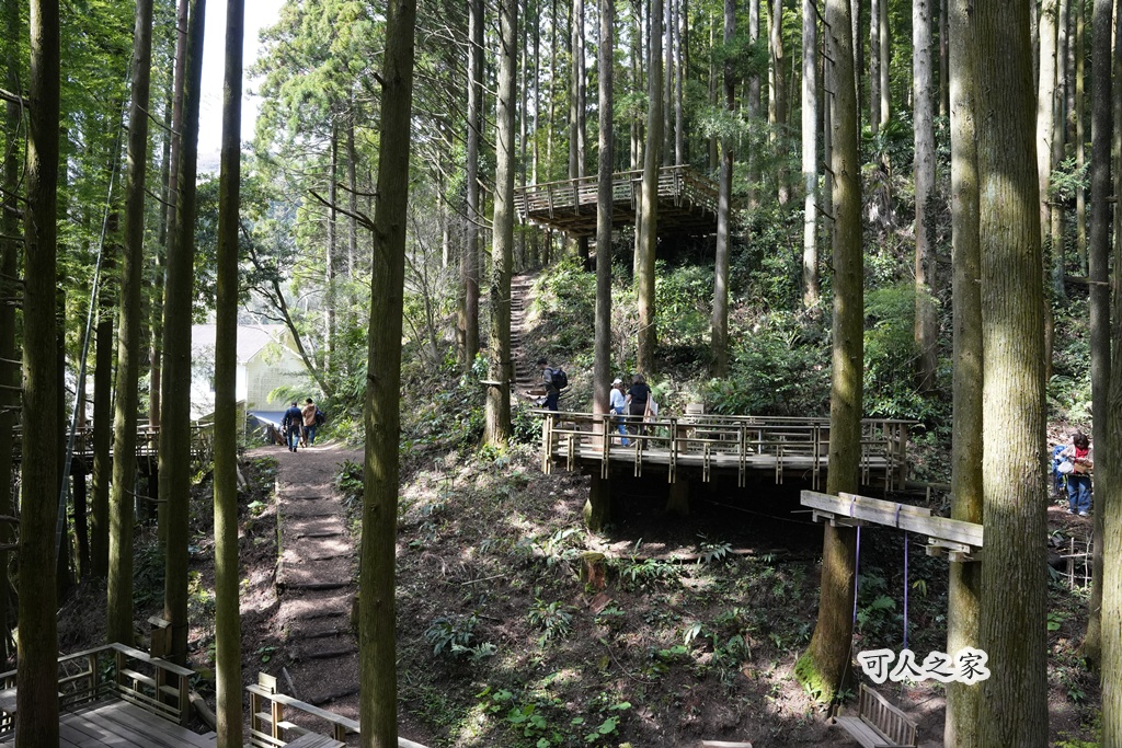 「KLOOK一日遊」,「森のカフェ 緑の詩」,「森林平台」,「森林芬多精」,「白糸之森菓子屋咖啡館」,「祕境」,「福岡糸島」