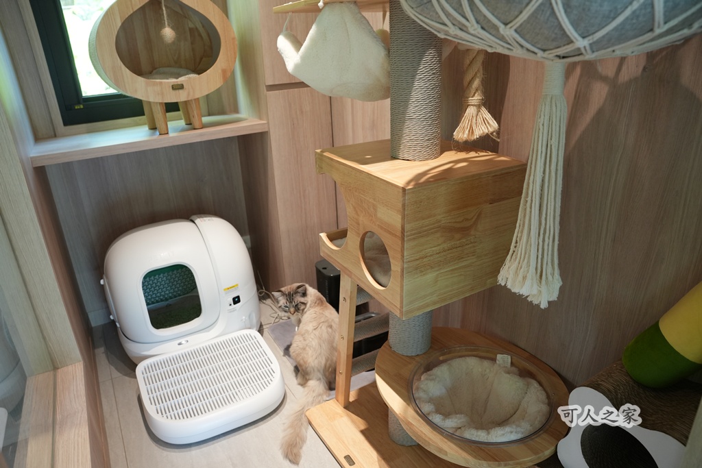 3JD HOME 二館- C Coffee,C Coffee,下午茶推薦,南投咖啡廳,南投景點,擼貓咖啡廳,療癒系咖啡廳,親子景點,露營區咖啡廳,預約制咖啡廳,餵動物咖啡廳,魚池咖啡廳