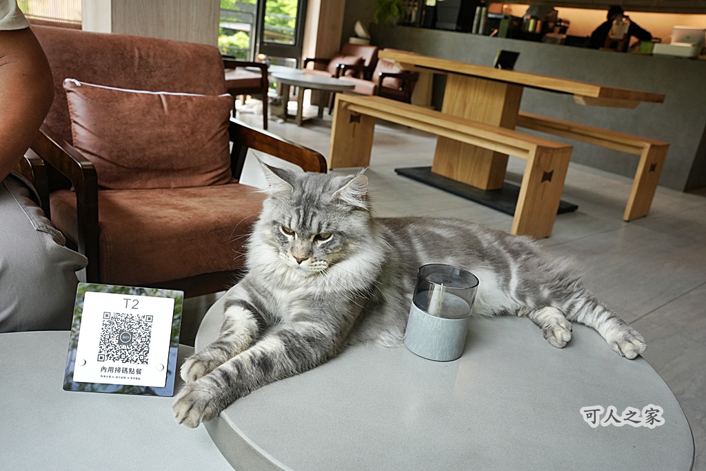 3JD HOME 二館- C Coffee,C Coffee,下午茶推薦,南投咖啡廳,南投景點,擼貓咖啡廳,療癒系咖啡廳,親子景點,露營區咖啡廳,預約制咖啡廳,餵動物咖啡廳,魚池咖啡廳