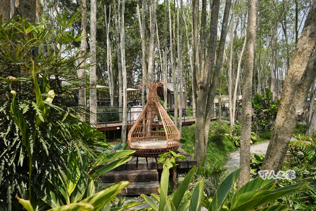 3JD HOME 二館- C Coffee,C Coffee,下午茶推薦,南投咖啡廳,南投景點,擼貓咖啡廳,療癒系咖啡廳,親子景點,露營區咖啡廳,預約制咖啡廳,餵動物咖啡廳,魚池咖啡廳