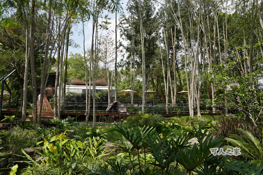 3JD HOME 二館- C Coffee,C Coffee,下午茶推薦,南投咖啡廳,南投景點,擼貓咖啡廳,療癒系咖啡廳,親子景點,露營區咖啡廳,預約制咖啡廳,餵動物咖啡廳,魚池咖啡廳