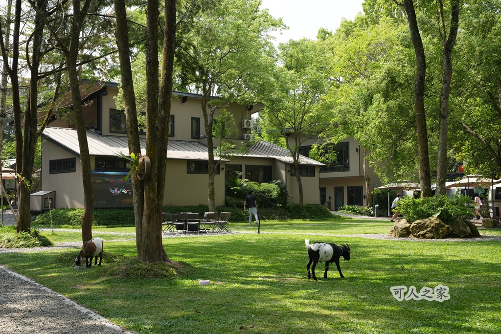 3JD HOME 二館- C Coffee,C Coffee,下午茶推薦,南投咖啡廳,南投景點,擼貓咖啡廳,療癒系咖啡廳,親子景點,露營區咖啡廳,預約制咖啡廳,餵動物咖啡廳,魚池咖啡廳