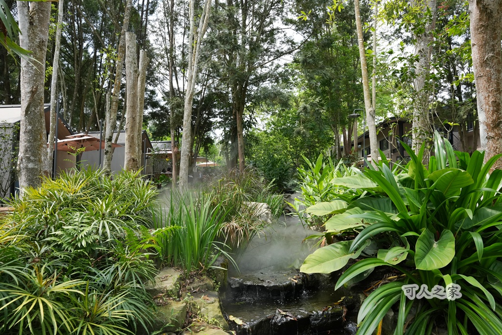 3JD HOME 二館- C Coffee,C Coffee,下午茶推薦,南投咖啡廳,南投景點,擼貓咖啡廳,療癒系咖啡廳,親子景點,露營區咖啡廳,預約制咖啡廳,餵動物咖啡廳,魚池咖啡廳