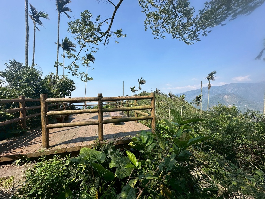 一等三角點,假日去處,健行,健行攻略,古坑,台灣小百岳 (雖然大尖山不是小百岳，但可以作為搜尋關聯詞),台灣登山,台灣秘境,大尖山,後棟仔福德宮,後棟山步道,戶外活動,樟湖生態國民中小學,步道,海拔1305M,涼亭,涼亭野餐,爬山,產業道路,登山,登山推薦,登山裝備,美景,茶園,輕旅行,防曬,階梯步道,雲嘉南平原,雲林,雲林景點