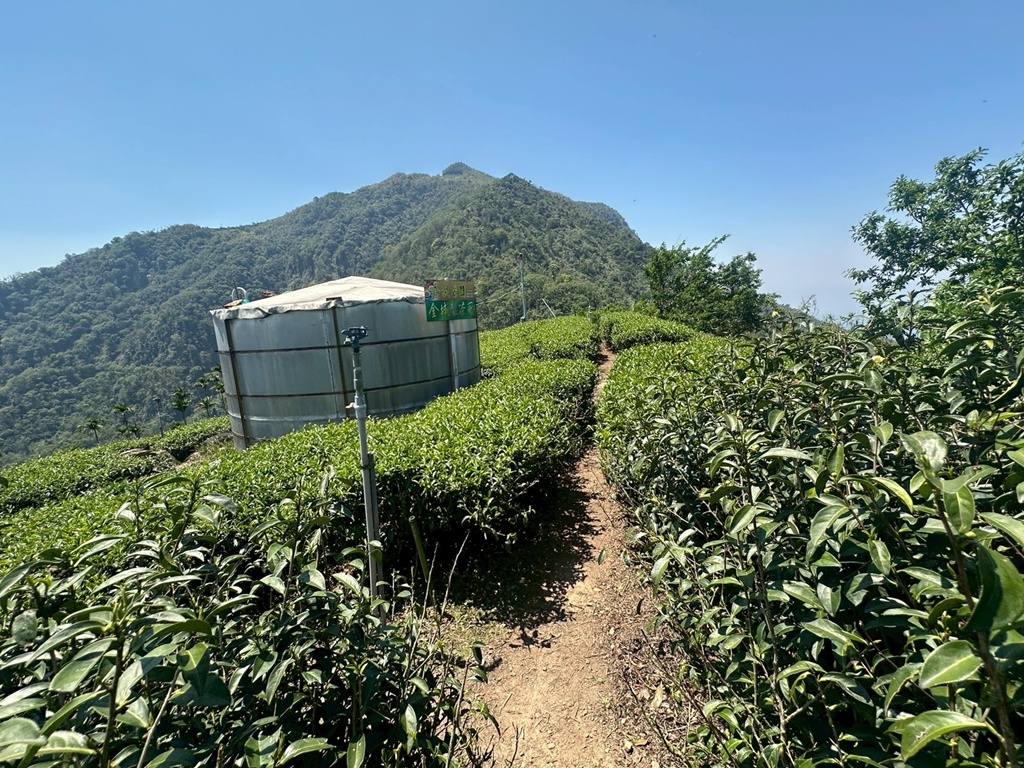 一等三角點,假日去處,健行,健行攻略,古坑,台灣小百岳 (雖然大尖山不是小百岳,但可以作為搜尋關聯詞),台灣登山,台灣秘境,大尖山,後棟仔福德宮,後棟山步道,戶外活動,樟湖生態國民中小學,步道,海拔1305M,涼亭,涼亭野餐,爬山,產業道路,登山,登山推薦,登山裝備,美景,茶園,輕旅行,防曬,階梯步道,雲嘉南平原,雲林,雲林景點 一等三角點,假日去處,健行,健行攻略,古坑,台灣小百岳 (雖然大尖山不是小百岳,但可以作為搜尋關聯詞),台灣登山,台灣秘境,大尖山,後棟仔福德宮,後棟山步道,戶外活動,樟湖生態國民中小學,步道,海拔1305M,涼亭,涼亭野餐,爬山,產業道路,登山,登山推薦,登山裝備,美景,茶園,輕旅行,防曬,階梯步道,雲嘉南平原,雲林,雲林景點