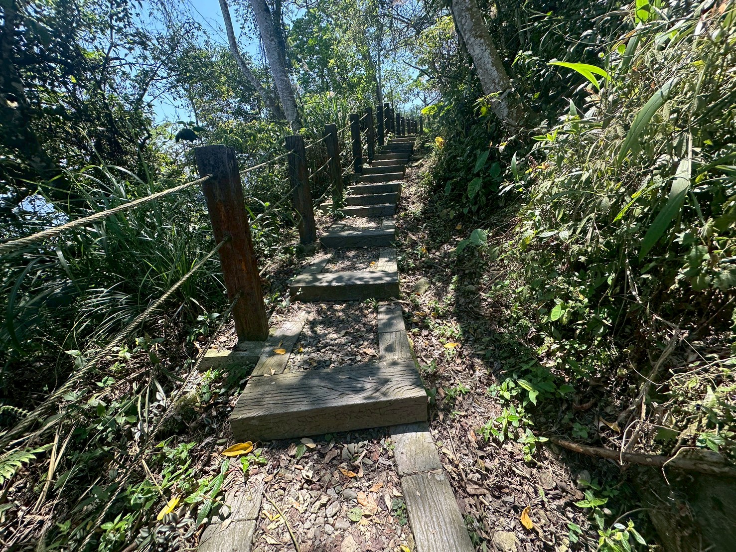 一等三角點,假日去處,健行,健行攻略,古坑,台灣小百岳 (雖然大尖山不是小百岳,但可以作為搜尋關聯詞),台灣登山,台灣秘境,大尖山,後棟仔福德宮,後棟山步道,戶外活動,樟湖生態國民中小學,步道,海拔1305M,涼亭,涼亭野餐,爬山,產業道路,登山,登山推薦,登山裝備,美景,茶園,輕旅行,防曬,階梯步道,雲嘉南平原,雲林,雲林景點 一等三角點,假日去處,健行,健行攻略,古坑,台灣小百岳 (雖然大尖山不是小百岳,但可以作為搜尋關聯詞),台灣登山,台灣秘境,大尖山,後棟仔福德宮,後棟山步道,戶外活動,樟湖生態國民中小學,步道,海拔1305M,涼亭,涼亭野餐,爬山,產業道路,登山,登山推薦,登山裝備,美景,茶園,輕旅行,防曬,階梯步道,雲嘉南平原,雲林,雲林景點