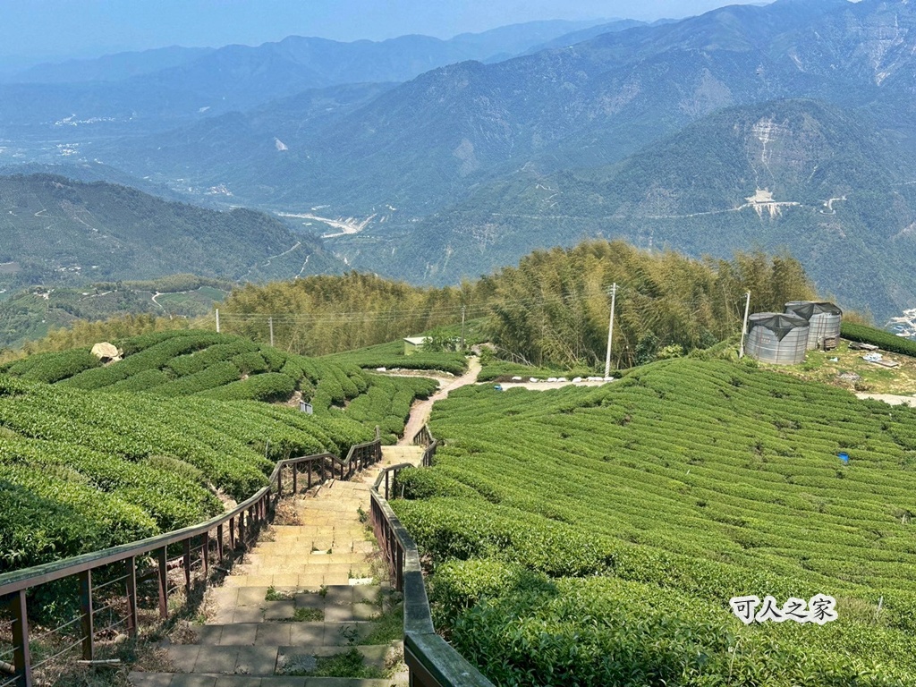 網站近期文章：雲林古坑後棟山步道~雲嘉大尖山，步行20分鐘登高望遠，360度無敵景觀療癒感十足！