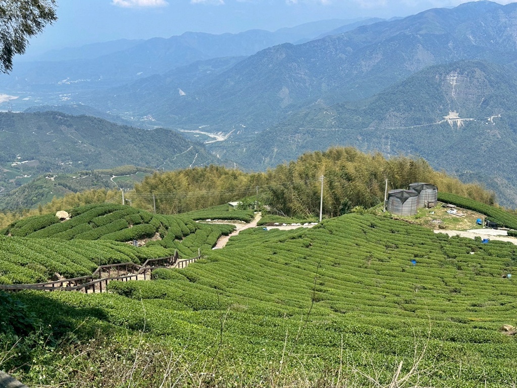 一等三角點,假日去處,健行,健行攻略,古坑,台灣小百岳 (雖然大尖山不是小百岳，但可以作為搜尋關聯詞),台灣登山,台灣秘境,大尖山,後棟仔福德宮,後棟山步道,戶外活動,樟湖生態國民中小學,步道,海拔1305M,涼亭,涼亭野餐,爬山,產業道路,登山,登山推薦,登山裝備,美景,茶園,輕旅行,防曬,階梯步道,雲嘉南平原,雲林,雲林景點