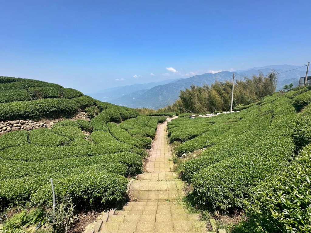 一等三角點,假日去處,健行,健行攻略,古坑,台灣小百岳 (雖然大尖山不是小百岳,但可以作為搜尋關聯詞),台灣登山,台灣秘境,大尖山,後棟仔福德宮,後棟山步道,戶外活動,樟湖生態國民中小學,步道,海拔1305M,涼亭,涼亭野餐,爬山,產業道路,登山,登山推薦,登山裝備,美景,茶園,輕旅行,防曬,階梯步道,雲嘉南平原,雲林,雲林景點 一等三角點,假日去處,健行,健行攻略,古坑,台灣小百岳 (雖然大尖山不是小百岳,但可以作為搜尋關聯詞),台灣登山,台灣秘境,大尖山,後棟仔福德宮,後棟山步道,戶外活動,樟湖生態國民中小學,步道,海拔1305M,涼亭,涼亭野餐,爬山,產業道路,登山,登山推薦,登山裝備,美景,茶園,輕旅行,防曬,階梯步道,雲嘉南平原,雲林,雲林景點