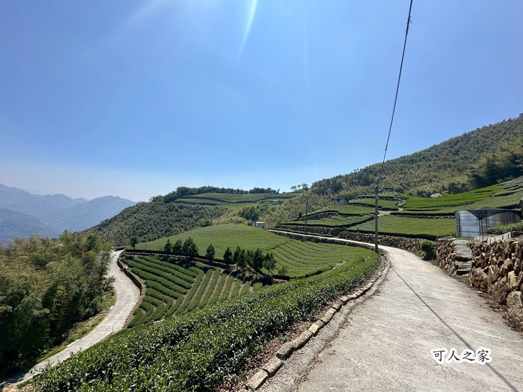 一等三角點,假日去處,健行,健行攻略,古坑,台灣小百岳 (雖然大尖山不是小百岳，但可以作為搜尋關聯詞),台灣登山,台灣秘境,大尖山,後棟仔福德宮,後棟山步道,戶外活動,樟湖生態國民中小學,步道,海拔1305M,涼亭,涼亭野餐,爬山,產業道路,登山,登山推薦,登山裝備,美景,茶園,輕旅行,防曬,階梯步道,雲嘉南平原,雲林,雲林景點