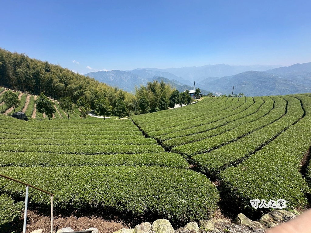 一等三角點,假日去處,健行,健行攻略,古坑,台灣小百岳 (雖然大尖山不是小百岳，但可以作為搜尋關聯詞),台灣登山,台灣秘境,大尖山,後棟仔福德宮,後棟山步道,戶外活動,樟湖生態國民中小學,步道,海拔1305M,涼亭,涼亭野餐,爬山,產業道路,登山,登山推薦,登山裝備,美景,茶園,輕旅行,防曬,階梯步道,雲嘉南平原,雲林,雲林景點