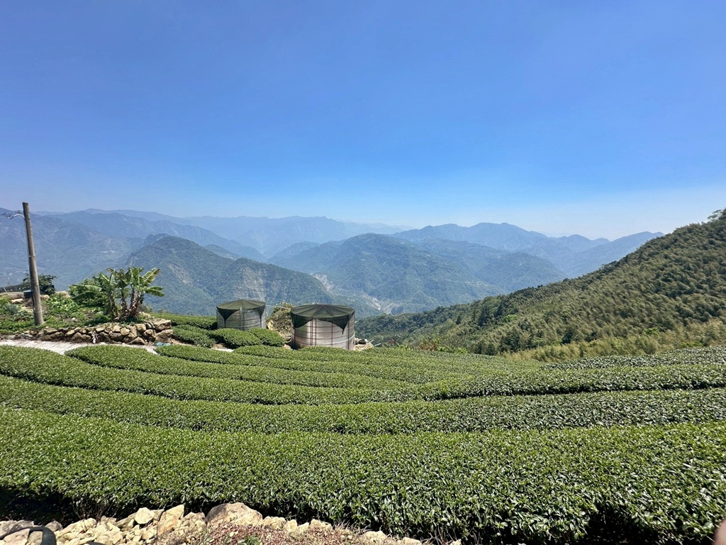 一等三角點,假日去處,健行,健行攻略,古坑,台灣小百岳 (雖然大尖山不是小百岳，但可以作為搜尋關聯詞),台灣登山,台灣秘境,大尖山,後棟仔福德宮,後棟山步道,戶外活動,樟湖生態國民中小學,步道,海拔1305M,涼亭,涼亭野餐,爬山,產業道路,登山,登山推薦,登山裝備,美景,茶園,輕旅行,防曬,階梯步道,雲嘉南平原,雲林,雲林景點