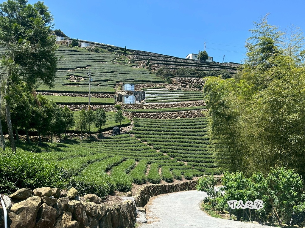 一等三角點,假日去處,健行,健行攻略,古坑,台灣小百岳 (雖然大尖山不是小百岳,但可以作為搜尋關聯詞),台灣登山,台灣秘境,大尖山,後棟仔福德宮,後棟山步道,戶外活動,樟湖生態國民中小學,步道,海拔1305M,涼亭,涼亭野餐,爬山,產業道路,登山,登山推薦,登山裝備,美景,茶園,輕旅行,防曬,階梯步道,雲嘉南平原,雲林,雲林景點 一等三角點,假日去處,健行,健行攻略,古坑,台灣小百岳 (雖然大尖山不是小百岳,但可以作為搜尋關聯詞),台灣登山,台灣秘境,大尖山,後棟仔福德宮,後棟山步道,戶外活動,樟湖生態國民中小學,步道,海拔1305M,涼亭,涼亭野餐,爬山,產業道路,登山,登山推薦,登山裝備,美景,茶園,輕旅行,防曬,階梯步道,雲嘉南平原,雲林,雲林景點