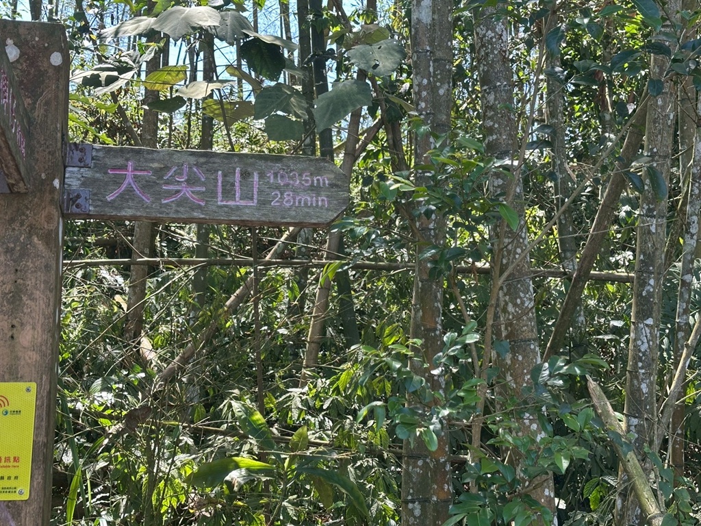 一等三角點,假日去處,健行,健行攻略,古坑,台灣小百岳 (雖然大尖山不是小百岳,但可以作為搜尋關聯詞),台灣登山,台灣秘境,大尖山,後棟仔福德宮,後棟山步道,戶外活動,樟湖生態國民中小學,步道,海拔1305M,涼亭,涼亭野餐,爬山,產業道路,登山,登山推薦,登山裝備,美景,茶園,輕旅行,防曬,階梯步道,雲嘉南平原,雲林,雲林景點 一等三角點,假日去處,健行,健行攻略,古坑,台灣小百岳 (雖然大尖山不是小百岳,但可以作為搜尋關聯詞),台灣登山,台灣秘境,大尖山,後棟仔福德宮,後棟山步道,戶外活動,樟湖生態國民中小學,步道,海拔1305M,涼亭,涼亭野餐,爬山,產業道路,登山,登山推薦,登山裝備,美景,茶園,輕旅行,防曬,階梯步道,雲嘉南平原,雲林,雲林景點