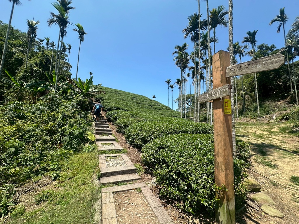 一等三角點,假日去處,健行,健行攻略,古坑,台灣小百岳 (雖然大尖山不是小百岳,但可以作為搜尋關聯詞),台灣登山,台灣秘境,大尖山,後棟仔福德宮,後棟山步道,戶外活動,樟湖生態國民中小學,步道,海拔1305M,涼亭,涼亭野餐,爬山,產業道路,登山,登山推薦,登山裝備,美景,茶園,輕旅行,防曬,階梯步道,雲嘉南平原,雲林,雲林景點 一等三角點,假日去處,健行,健行攻略,古坑,台灣小百岳 (雖然大尖山不是小百岳,但可以作為搜尋關聯詞),台灣登山,台灣秘境,大尖山,後棟仔福德宮,後棟山步道,戶外活動,樟湖生態國民中小學,步道,海拔1305M,涼亭,涼亭野餐,爬山,產業道路,登山,登山推薦,登山裝備,美景,茶園,輕旅行,防曬,階梯步道,雲嘉南平原,雲林,雲林景點