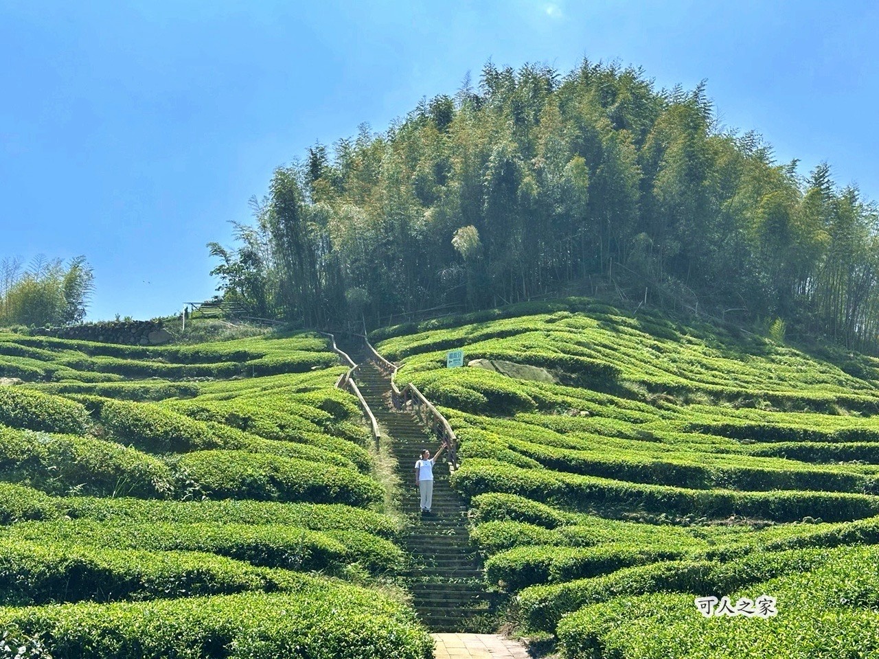 一等三角點,假日去處,健行,健行攻略,古坑,台灣小百岳 (雖然大尖山不是小百岳,但可以作為搜尋關聯詞),台灣登山,台灣秘境,大尖山,後棟仔福德宮,後棟山步道,戶外活動,樟湖生態國民中小學,步道,海拔1305M,涼亭,涼亭野餐,爬山,產業道路,登山,登山推薦,登山裝備,美景,茶園,輕旅行,防曬,階梯步道,雲嘉南平原,雲林,雲林景點 一等三角點,假日去處,健行,健行攻略,古坑,台灣小百岳 (雖然大尖山不是小百岳,但可以作為搜尋關聯詞),台灣登山,台灣秘境,大尖山,後棟仔福德宮,後棟山步道,戶外活動,樟湖生態國民中小學,步道,海拔1305M,涼亭,涼亭野餐,爬山,產業道路,登山,登山推薦,登山裝備,美景,茶園,輕旅行,防曬,階梯步道,雲嘉南平原,雲林,雲林景點