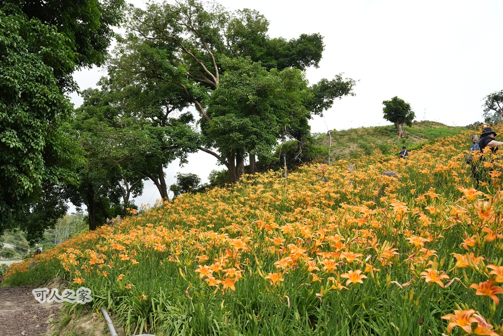  @可人之家